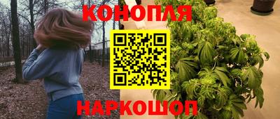 тгк Рыбинск