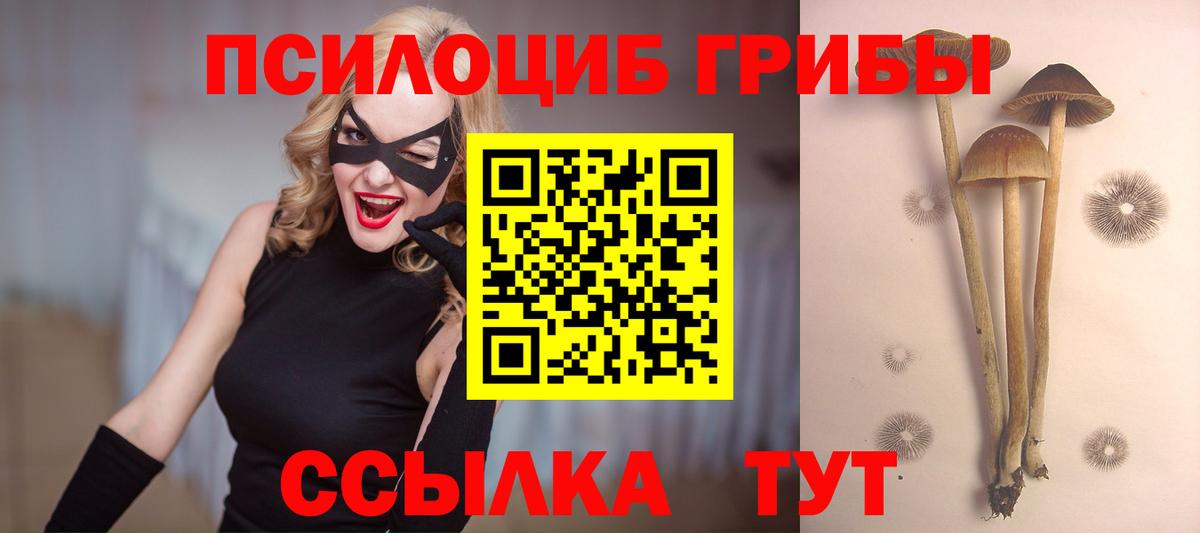 Галлюциногенные грибы мицелий  Вход с VPN  Чехов 